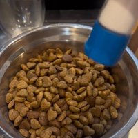 ご飯に塩をかけるふりをする飼い主