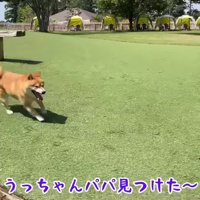 芝生をダッシュするうにくん