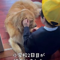 微笑ましい光景にホッコリ