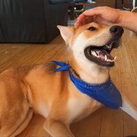 とっても幸せそう♡