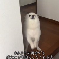 喜ぶべらちゃん