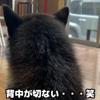 寂しそうな背中が切ない…