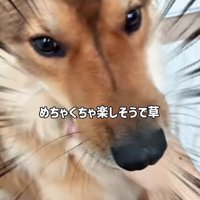 ママさん旅行中のラッキーくん5