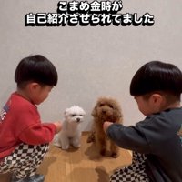 「どうしたらいいの？」と戸惑う2匹