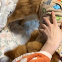 やっと立ってくれたと思ったら…