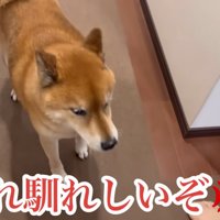ロックくんは不満そう