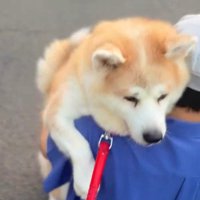 帰りたくないときは…