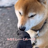 手袋の匂いを嗅ぐ朔くん