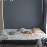 別日
