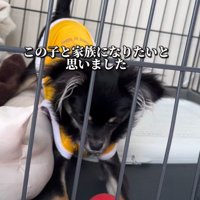 少しずつ変化が…
