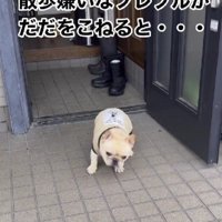 体をくねらせて…