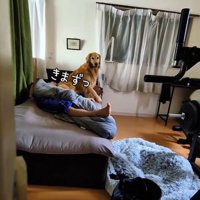 お兄ちゃんの部屋から出てこない蘭ちゃん7