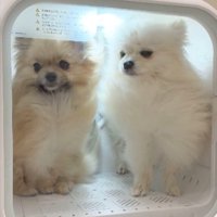 気まずい