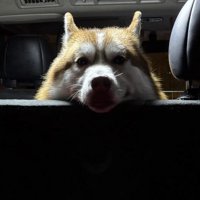 「今日はこれで終わりですか？」