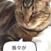 猫先輩も納得の出来！？
