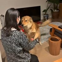 ラッキーくんの態度の違い7