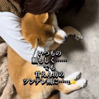ママさんの愛を受け止める朔くん