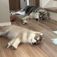 お迎え