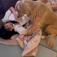学校の準備をしていたら…