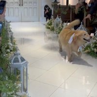 アイドルみたいなファンサービス