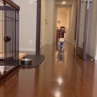 武蔵くんを呼んだ時の態度の差3