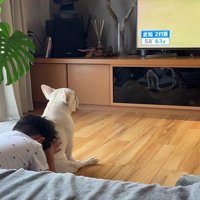 尊い光景にほっこり