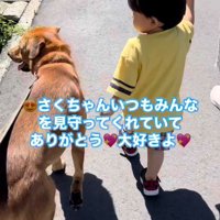 男の子を守る咲太郎くん8