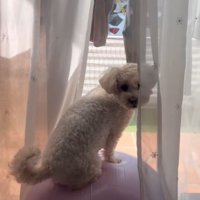 くるりと振り向いて…