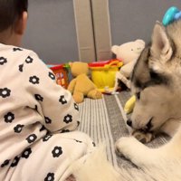 隣にならんでくつろぐ犬と赤ちゃん