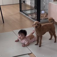 プー太くんと子ども