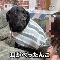 完全に人見知り発動中！