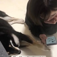 思い切ってタッチ！