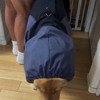 カッパを着たアリスちゃん