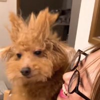 戦闘力が高そう…！！