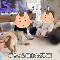 ハナちゃんと赤ちゃんたちの交流6