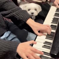 まだまだお怒りのころんちゃん