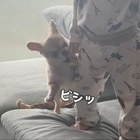気づいてほしくてパンチ！