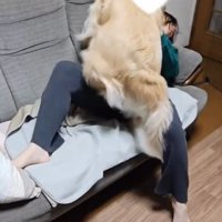 熱烈歓迎のブランくん