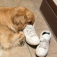 まさかの行動にクスッ