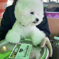 首を傾げて「？？」