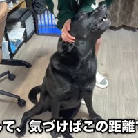 再びナデナデしたら…