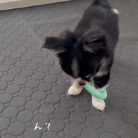 「ん？引っかかっちゃった…」