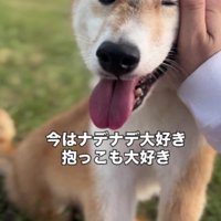 笑顔が増えたしゅんくん