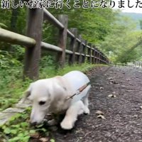 家族とのお別れは悲しかった