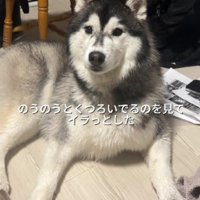 自由すぎる姿もかわいい♡