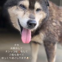 家族の元へ戻れました！