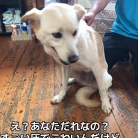 怯えるもなかちゃん