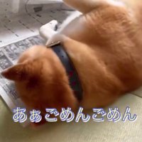 体を起こすのは面倒！？