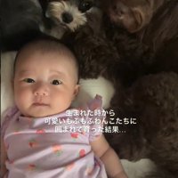 2匹揃って見守ってくれています
