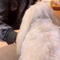 想いが溢れて止まらない…